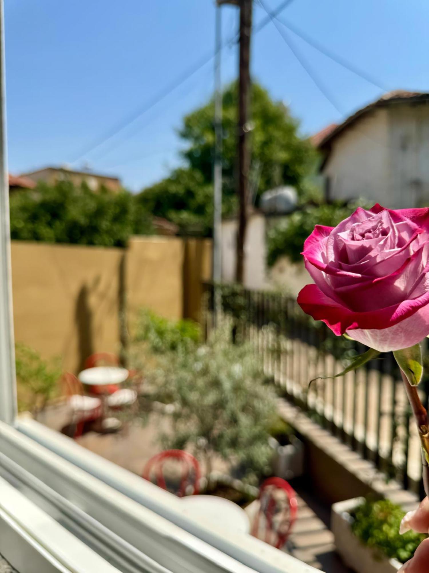 Vila Panto Тирана Екстериор снимка